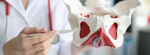 Sekrety dna miednicy: Jak dbać o mięśnie dna miednicy i utrzymać je w dobrej kondycji